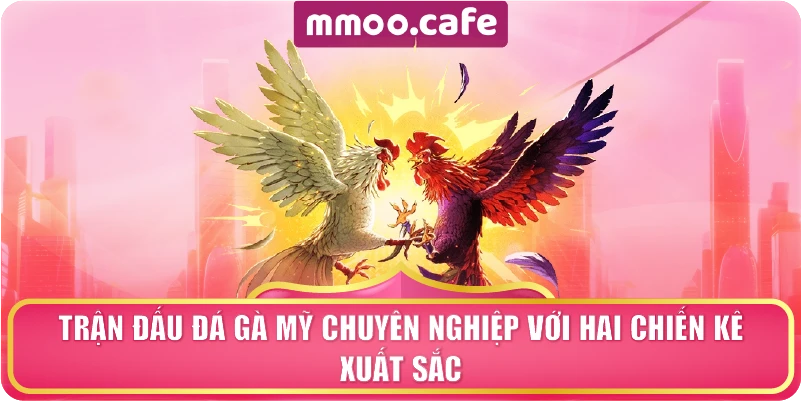 Trận đấu đá gà Mỹ chuyên nghiệp với hai chiến kê xuất sắc